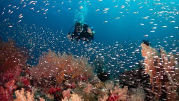 อุทยานแห่งชาติหมู่เกาะสุรินทร์ Mu Koh Surin Marine National Park 